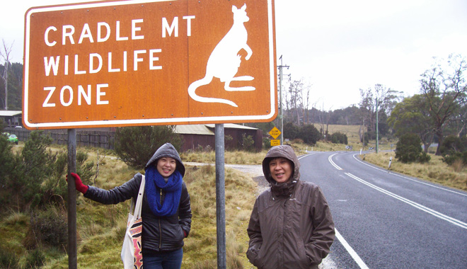 cradle mountain COACH TOURS TASMANIA 011