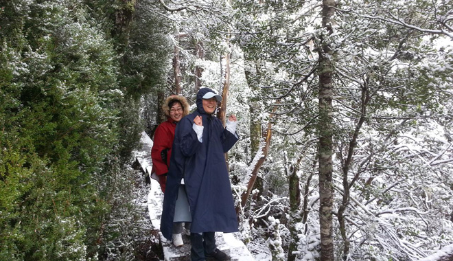 cradle mountain COACH TOURS TASMANIA 058