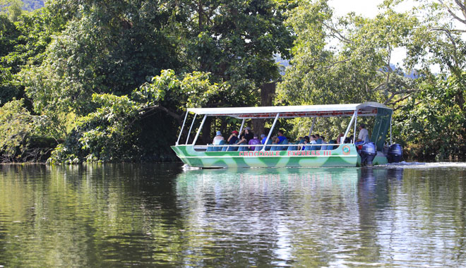 crocodile express2