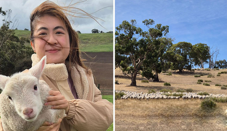 curringa in the village4