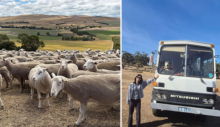 curringa in the village5