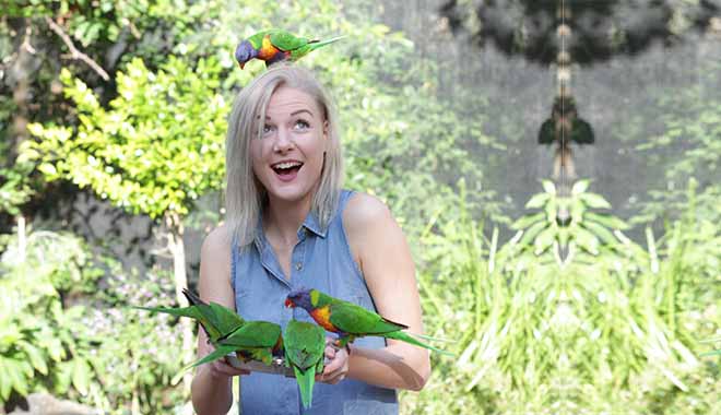 currumbin wildlife sanctuary 15