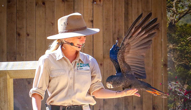 currumbin wildlife sanctuary 4