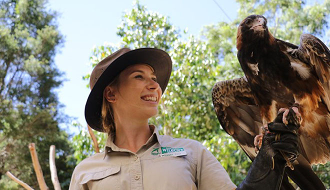 currumbin wildlife sanctuary 6