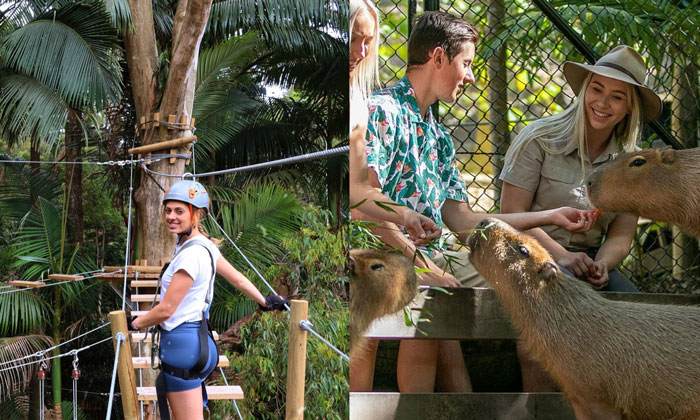 currumbin wildlife sanctuary+treetop 1