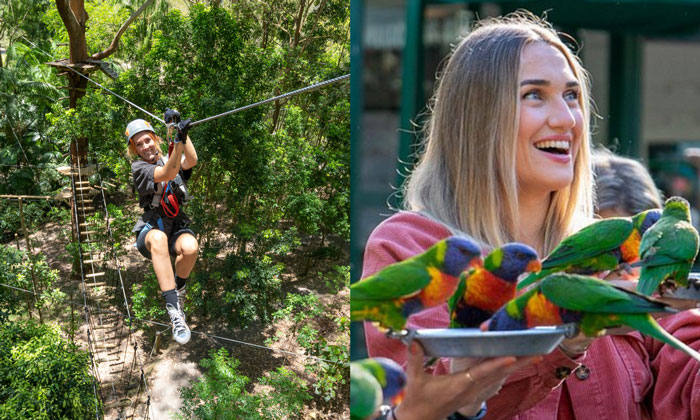 currumbin wildlife sanctuary+treetop 2