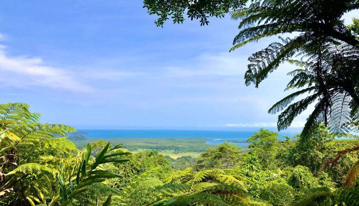 daintree port dougals 1