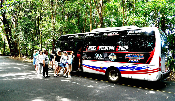 daintree port dougals 5