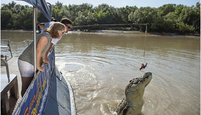 darwin chinese tour 2 jpg