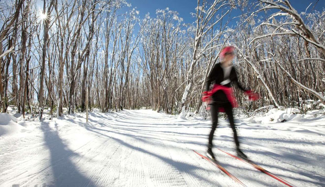 day trips to the snow