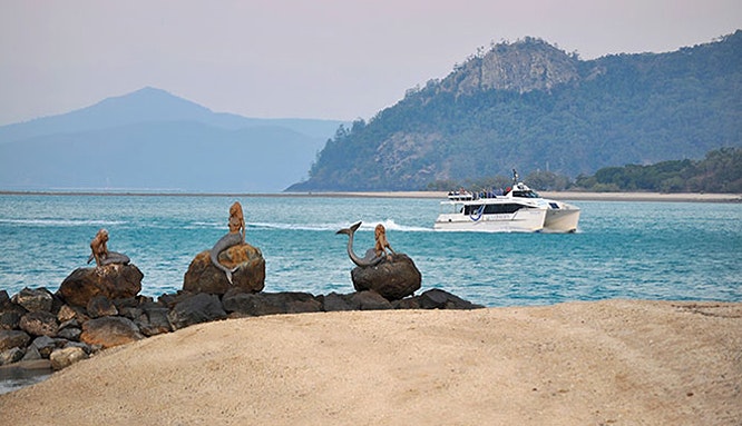 daydream island 11 jpg