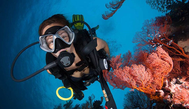 deep sea divers den 10 jpg