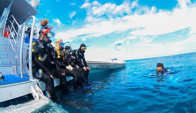deep sea divers den 5 jpg