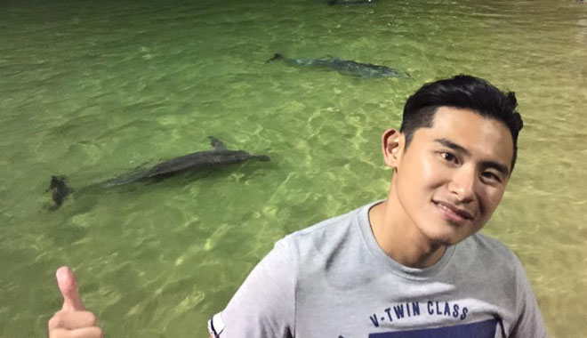 dolphine viewing tangalooma 005