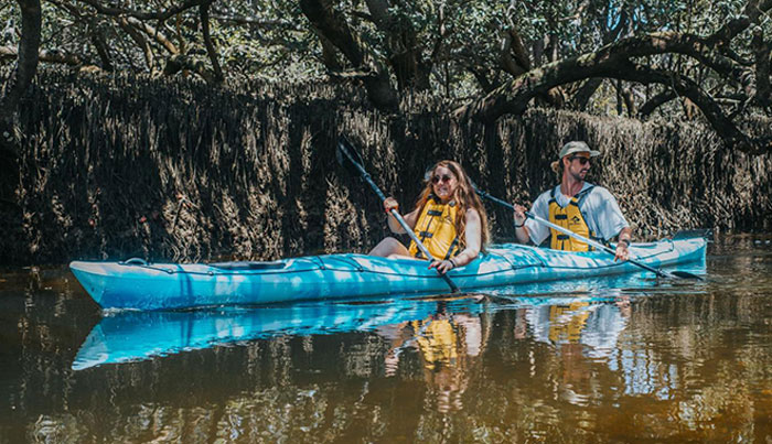 dolphinsanctuarykayaktours