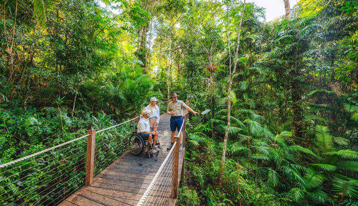 down under tour kuranda guided walk