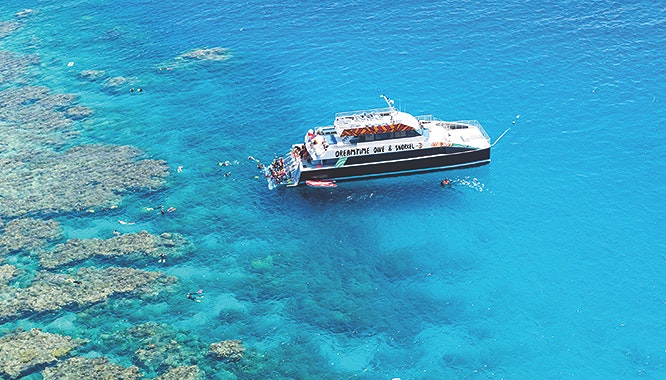 dreamtime dive cruise 13 jpg