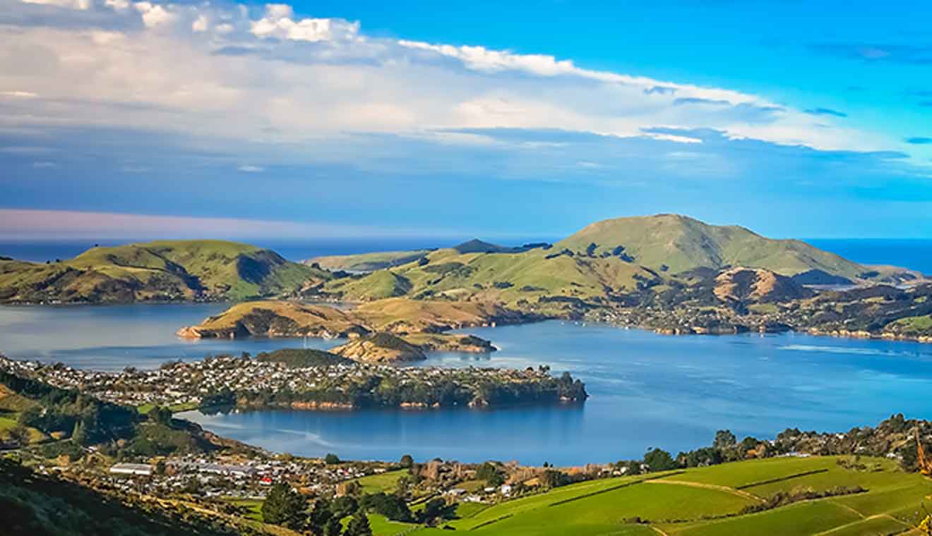 dunedin