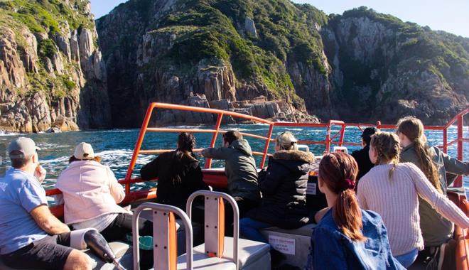 eco cruise