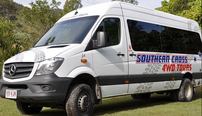 evening rainforest glow worm4