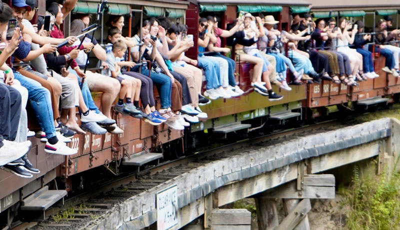 explore aus tour puffing billy 001 web