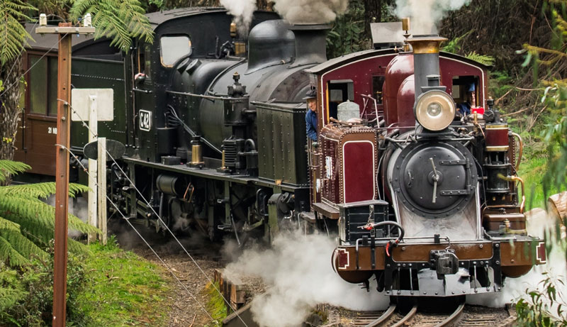explore aus tour puffing billy 002 web