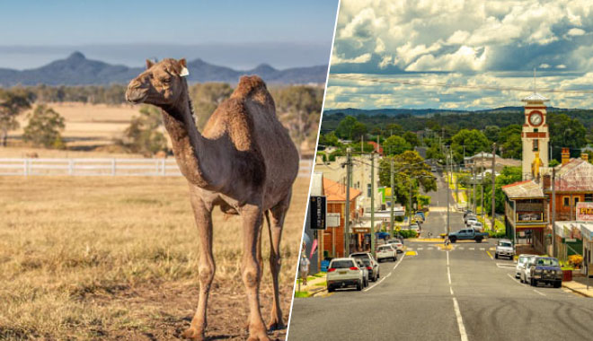 exploring southern queensland countryside