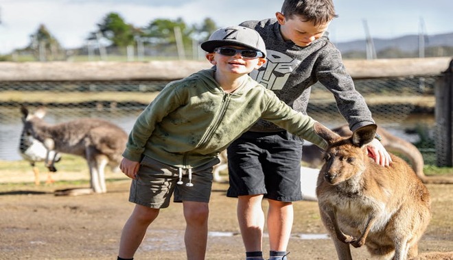 f5adfe792a3d36466e9884d691094f3c