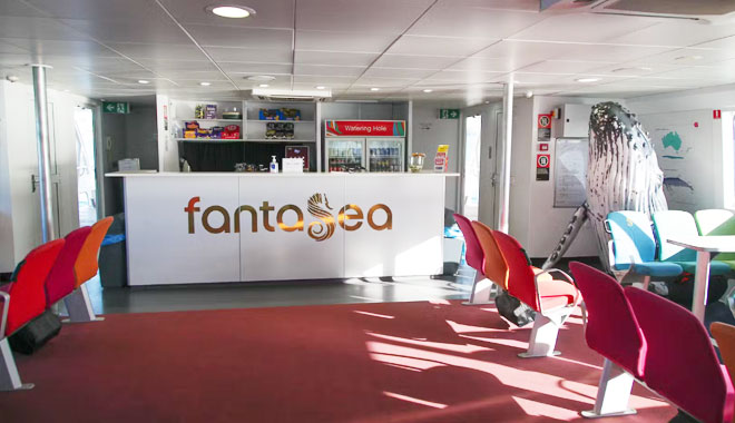 fantasea fireworks4