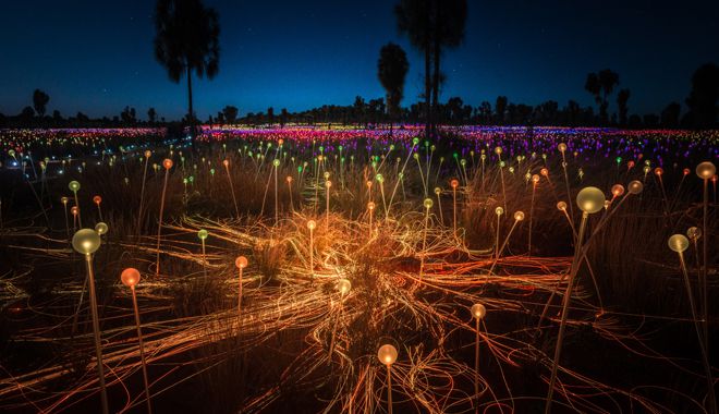 field of light 1