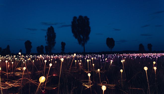 field of light 5