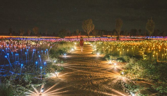 field of light 7