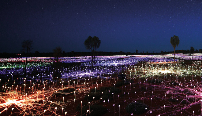field of light at night WEB 01