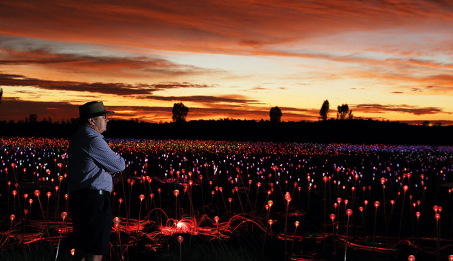 field of light at night WEB 04