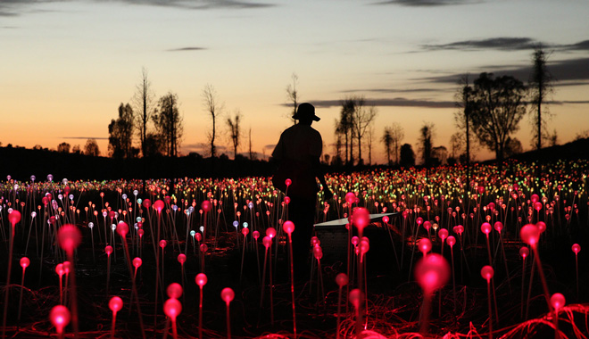 field of light at night WEB 07