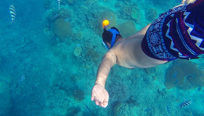 fiji diy day tour 6 jpg