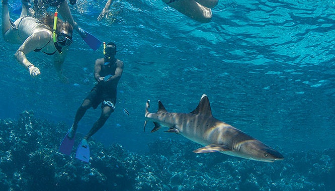 fiji diy day tour 8 jpg