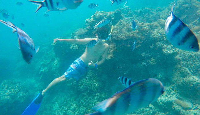 fiji snorkelling