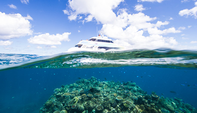 fitzroy island 4