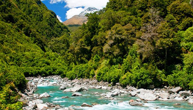 franz josef fox wanaka 5 jpg