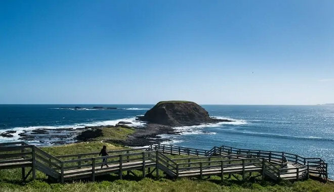 french island phillip island penguin tour melbourne4