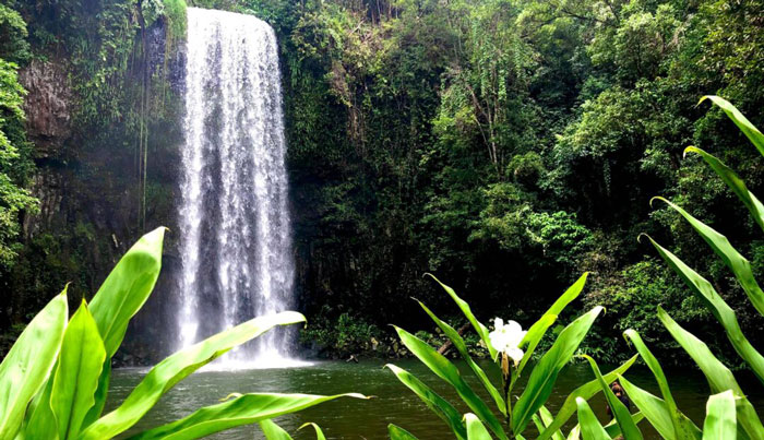 full daywaterfall wanderers atherton tablelands1