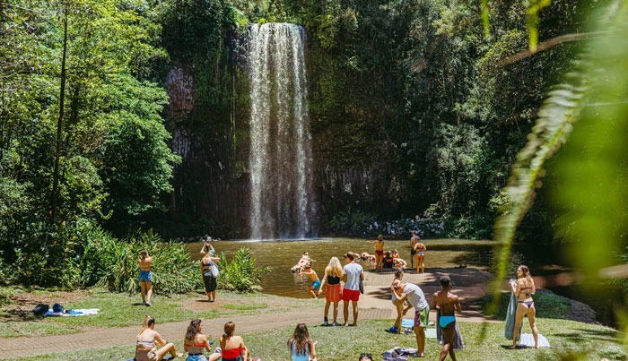 full daywaterfall wanderers atherton tablelands4