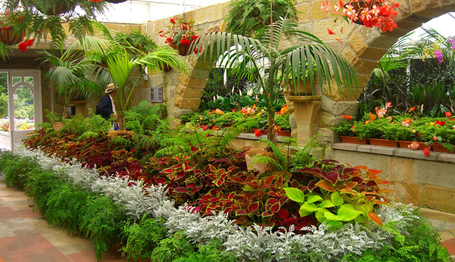 garden