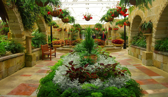 garden2