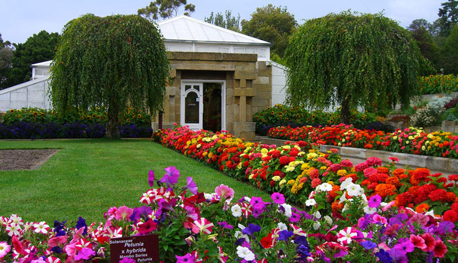 garden3