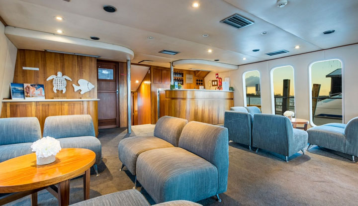 gc luxury whale watching8