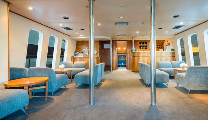 gc luxury whale watching9