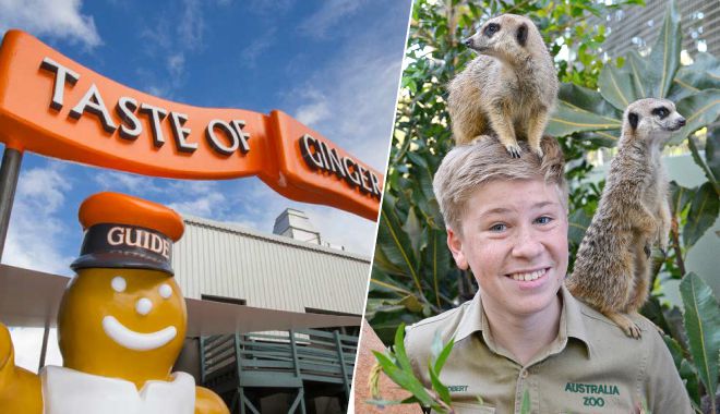 ginger factory australia zoo