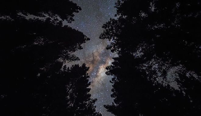 glow worm kayak tour NEW 13